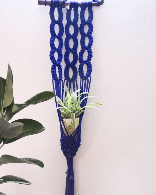 Blue Plant Hanging