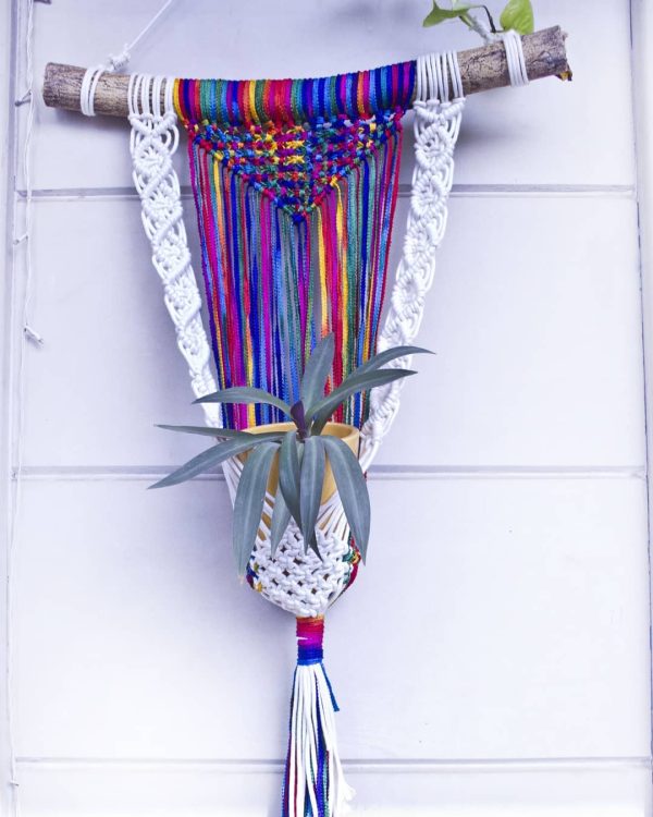 Colorfull Plant Hanging