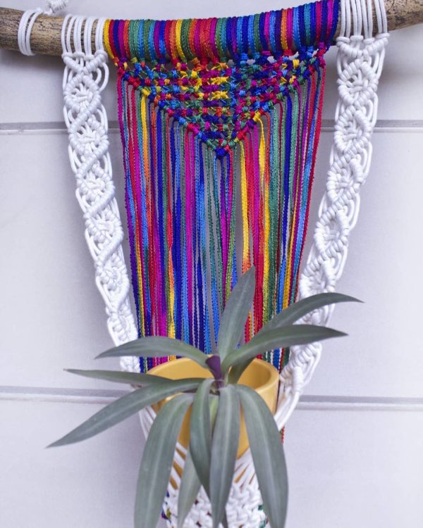 Colorfull Plant Hanging - Image 2
